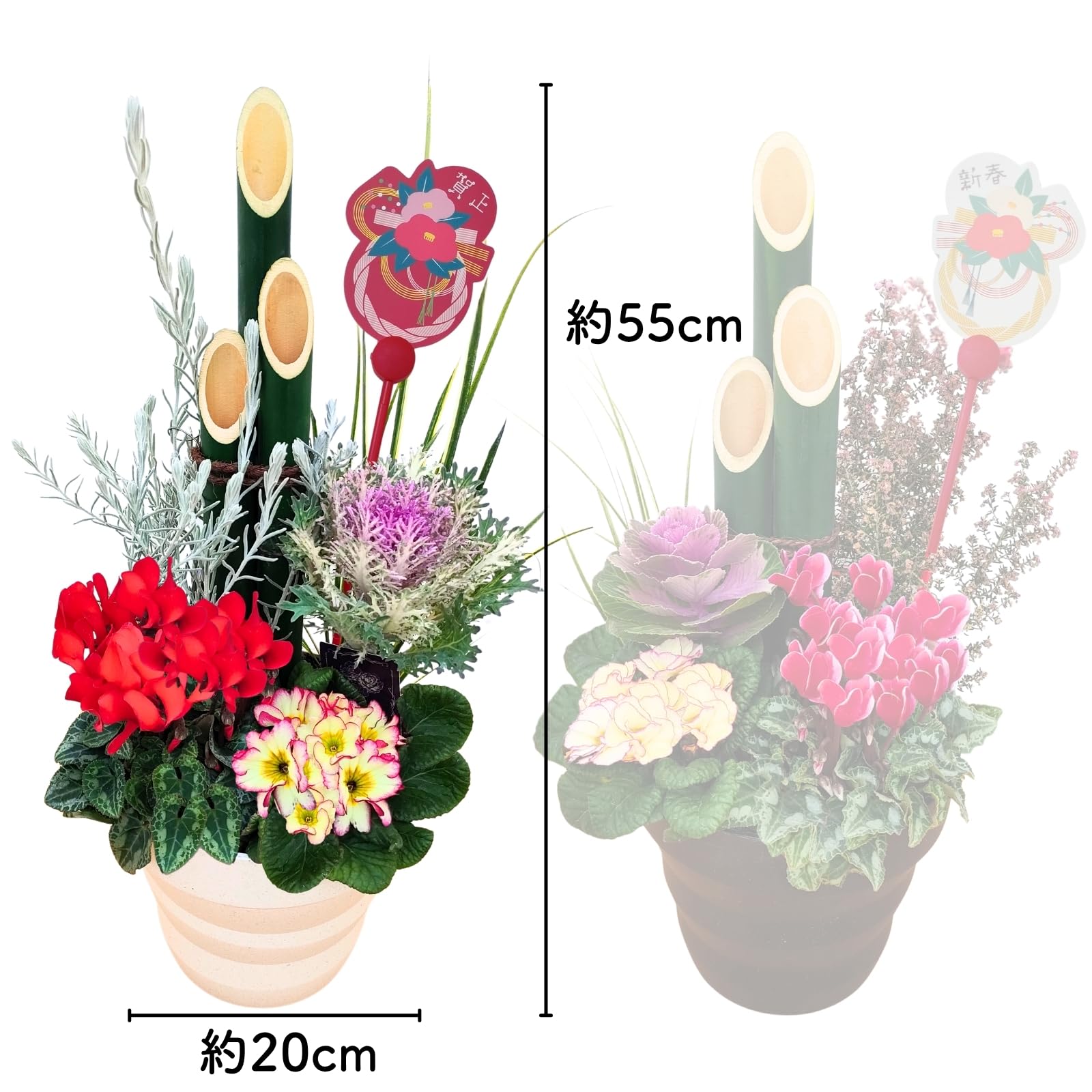 Amazon.co.jp: 【生花】ちょこみる 門松 寄せ植え 生竹 Lサイズ 【対